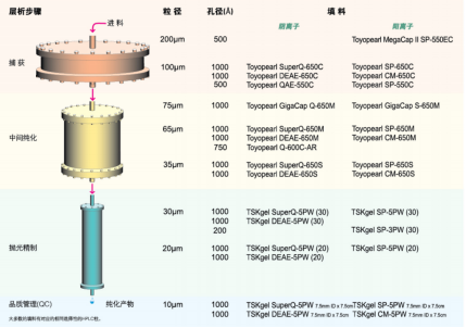 63102ae626bcd.png 555.png